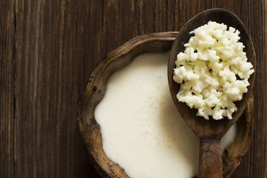 What is Kefir?