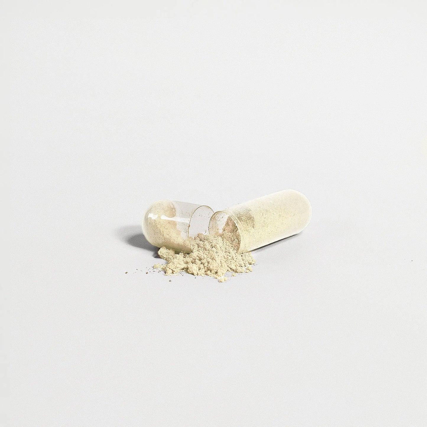 Gut Health Capsule opened with powder showing prebiotic and probiotic blend