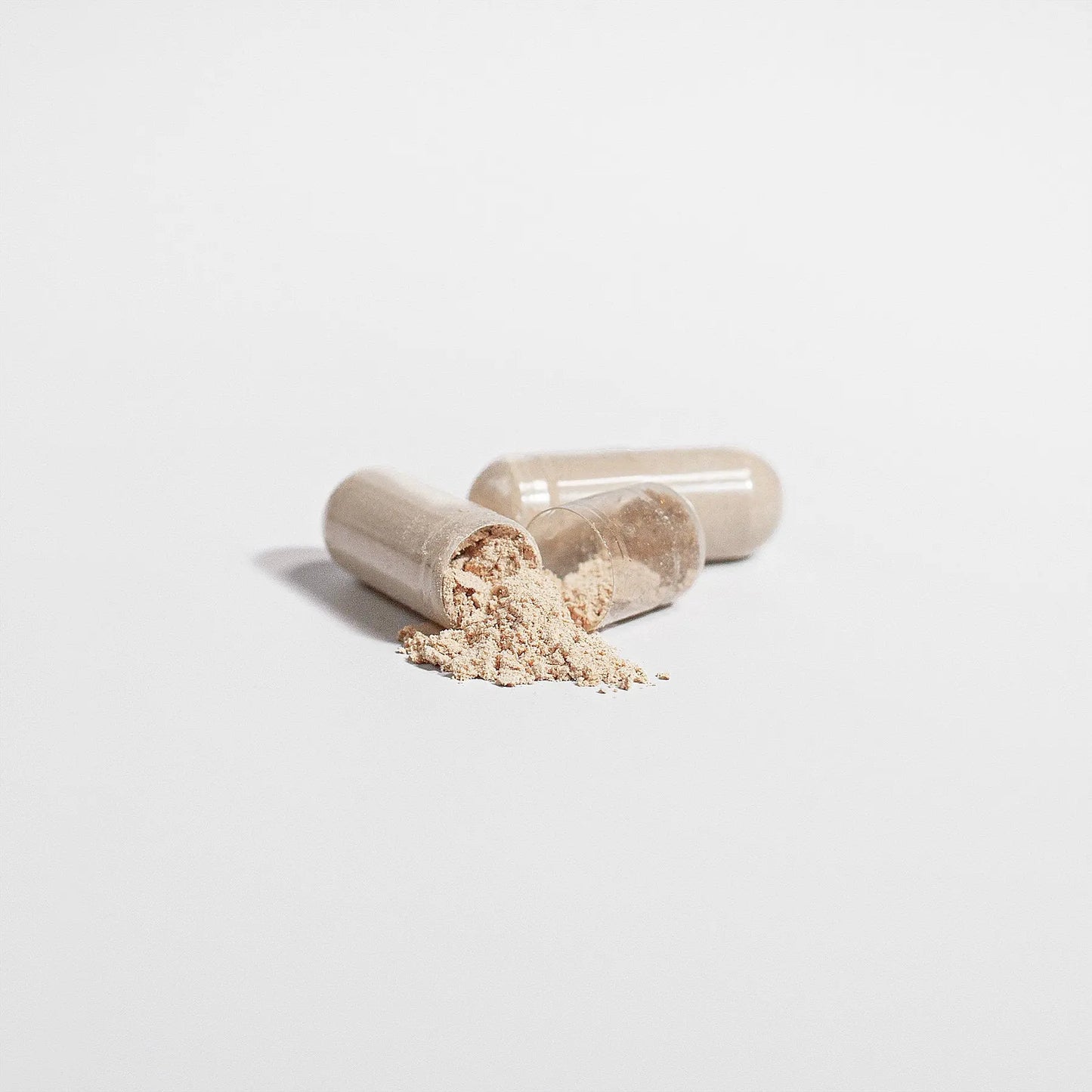 Reishi Mushroom Capsules Nutrition Tribune