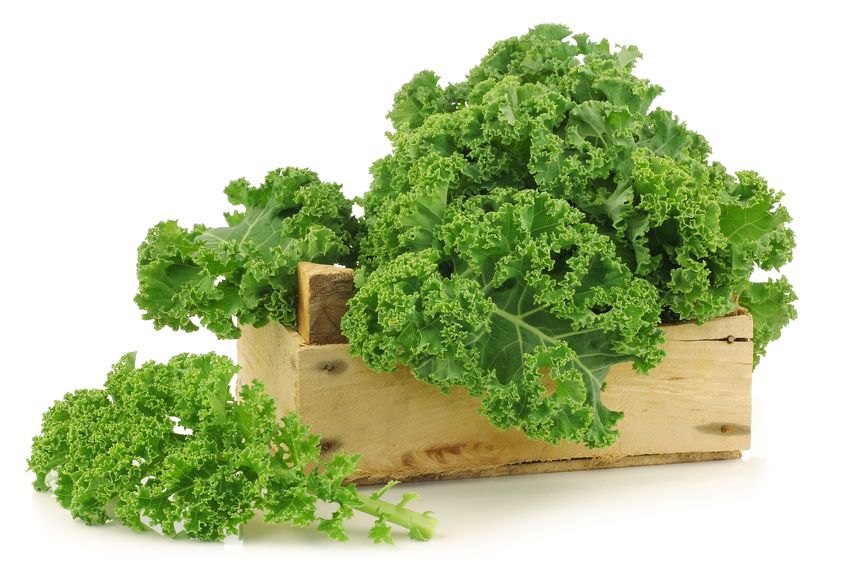 Health Benefits of Kale