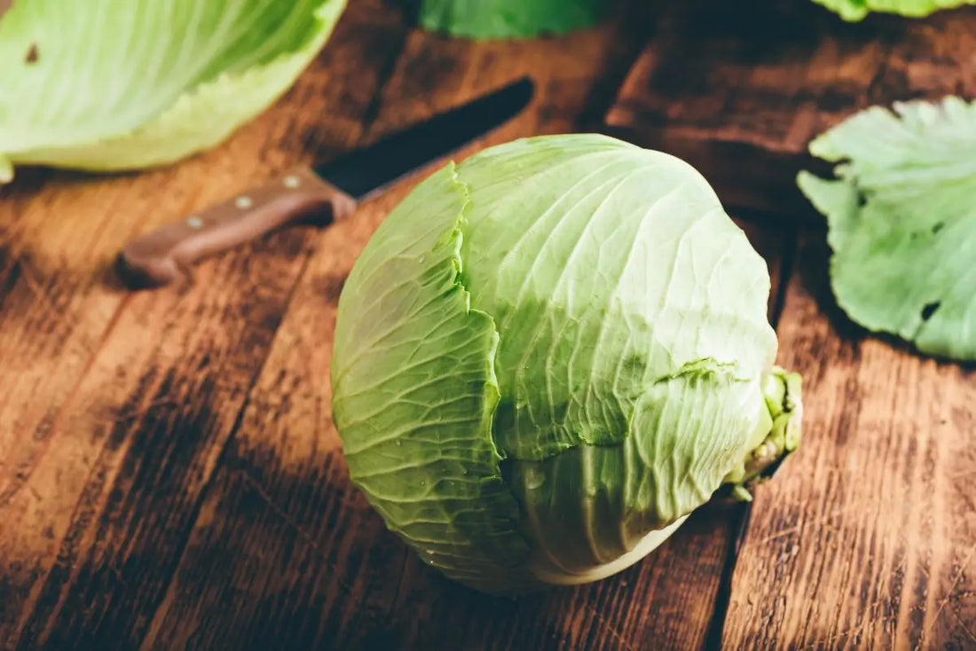 Benefits of Cabbage