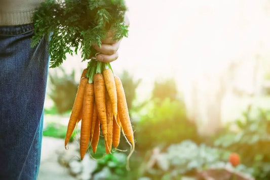 Benefits of organic food