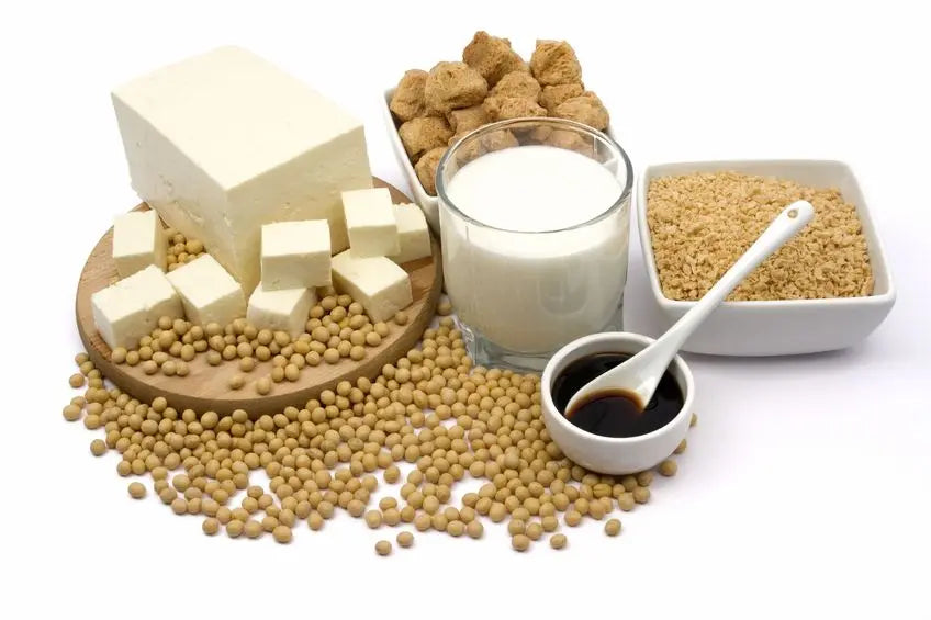 Dangers of Soy