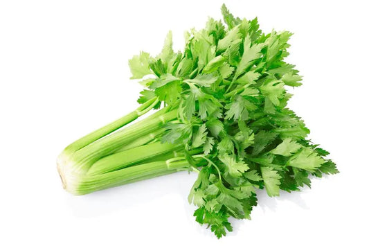 Health Benefits of Celery