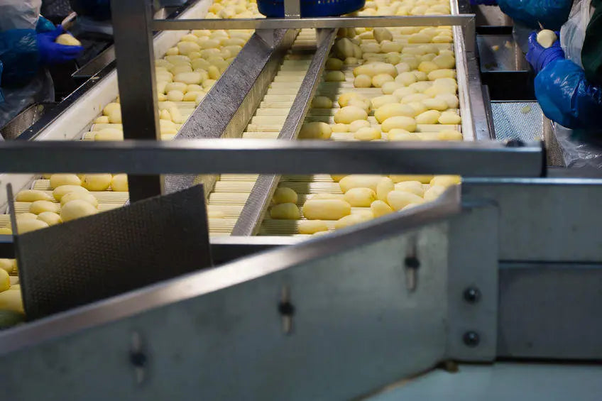 History of Food Processing (Part 2)