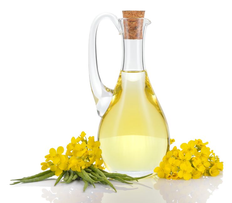 Is Canola Oil Bad for You?