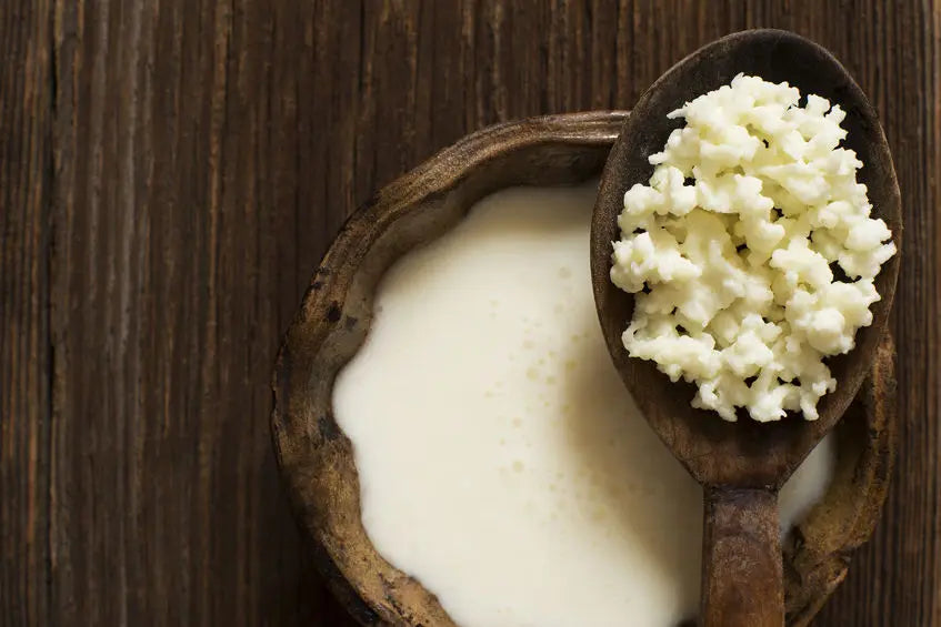 What is Kefir?