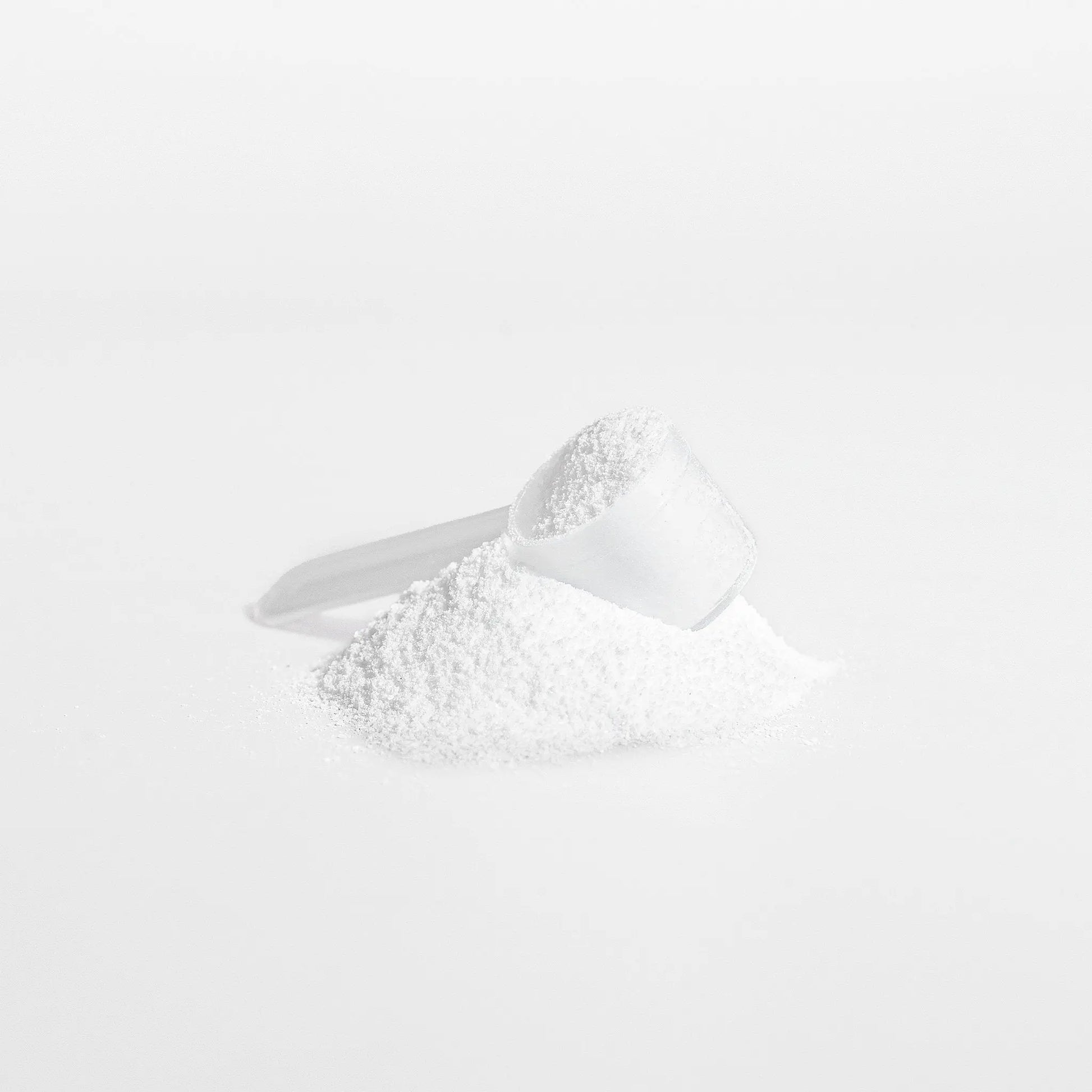 Scoop of Creatine Monohydrate Powder – Unflavored Supplement by Nutrition Tribune