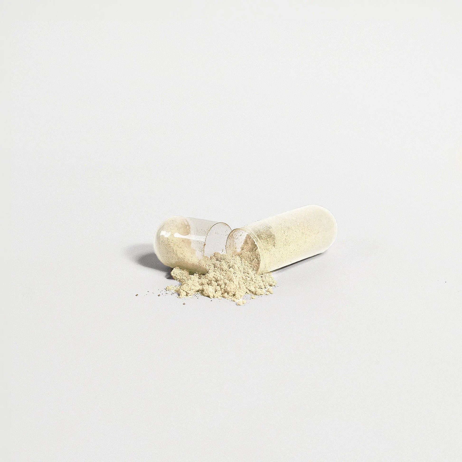 Gut Health Capsule opened with powder showing prebiotic and probiotic blend